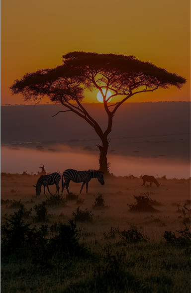 Tanzania Active 11Nights